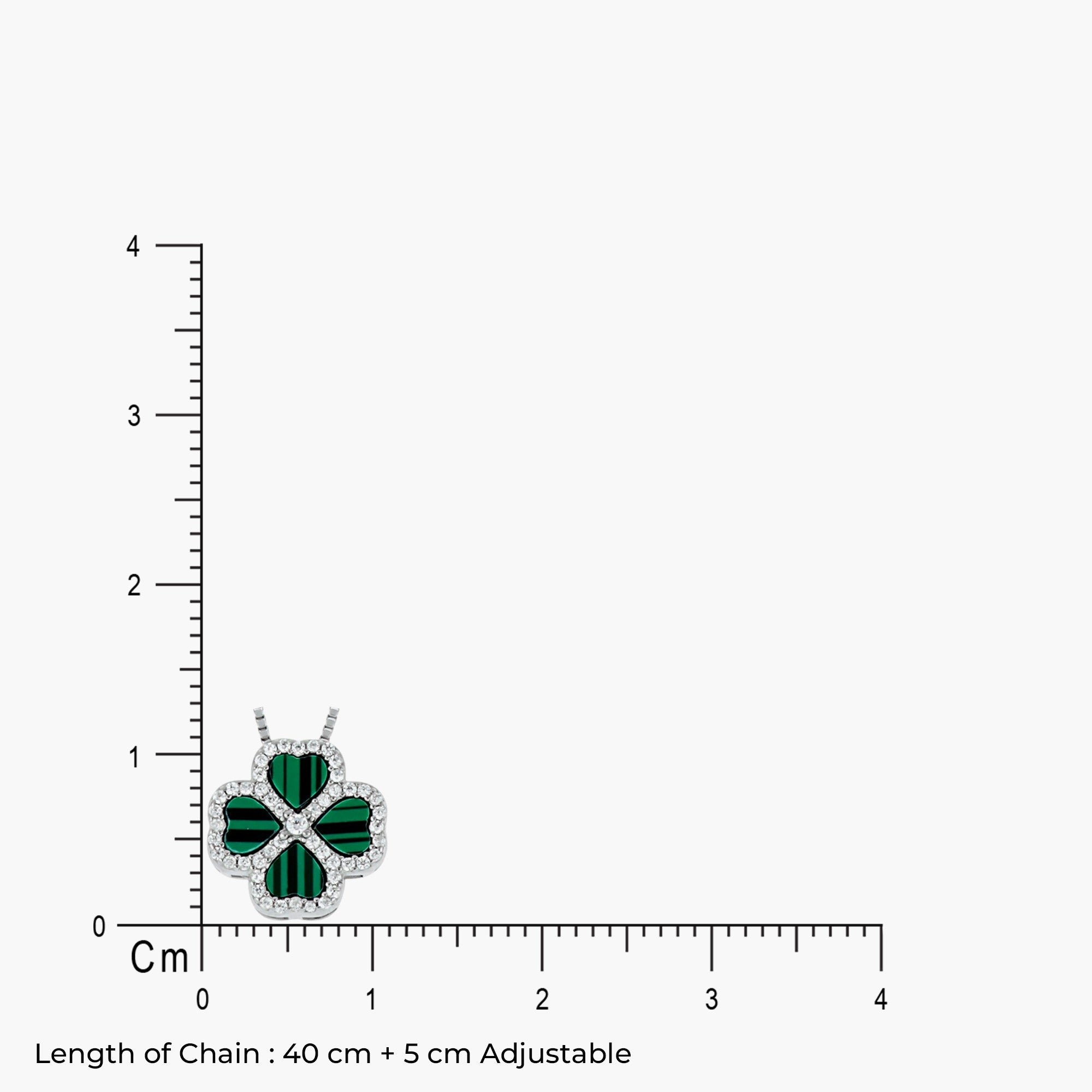 Clove